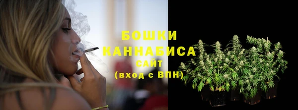 СК Саяногорск