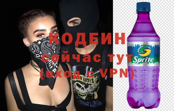 тгк Сатка