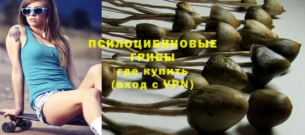 тгк Сатка