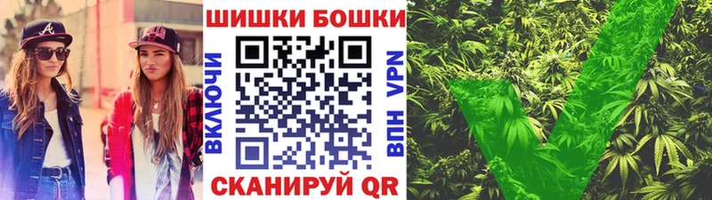 магазин продажи наркотиков  Болхов  Канабис White Widow 